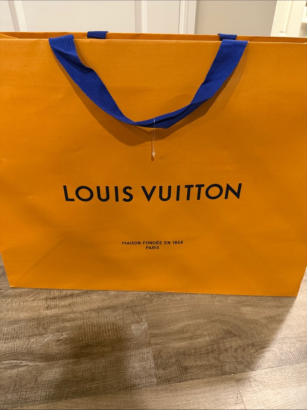 Louis Vuitton Capucines Mini Bag Exotic Ostrich in Mint Green - Picture 15 of 15